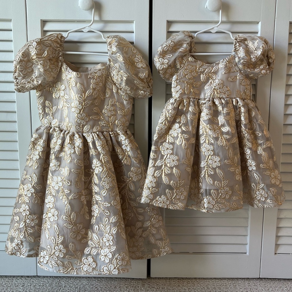 Rare Editions Cream and Gold Embroidered Dress